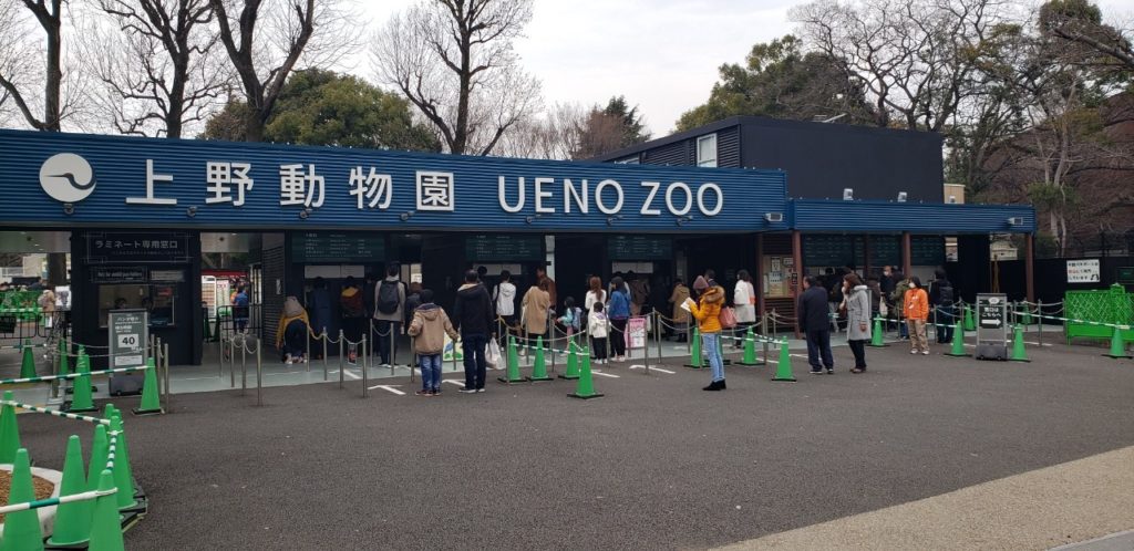 動物園初心者が上野動物園でシャンシャンを見てきた話 まるしおブロク
